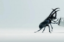 Thời trang Hi-tech - Tai nghe Nothing Ear 2 sắp trình làng với thiết kế trong suốt độc đáo