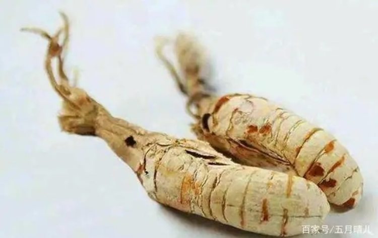 “Nhộng” mọc dưới đất, bán giá gần 7 triệu/kg vẫn cháy hàng - 2