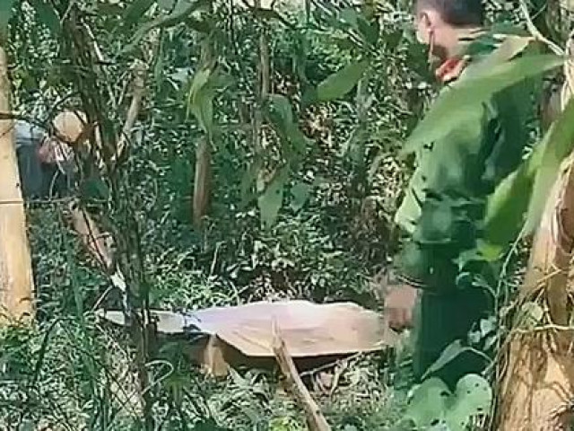 Tin tức trong ngày - Clip: Công an mở thùng carton, phát hiện sự thật ngỡ ngàng ở Quảng Nam