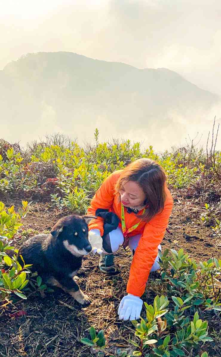 Săn mây giữa khung cảnh 'thần tiên' trên đỉnh núi Lảo Thẩn - Y Tý - 6