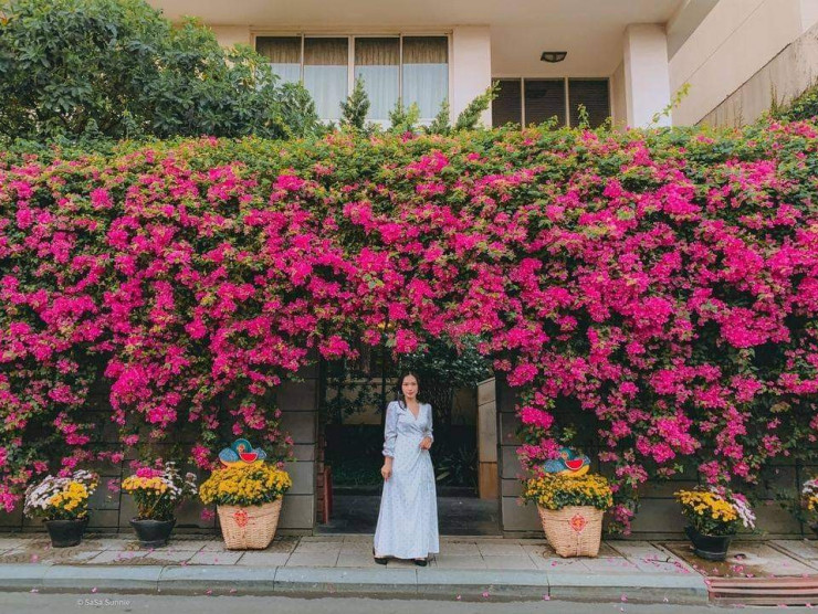 Background cực “xịn xò” khiến Gen Z u mê không lối thoát. (Ảnh: Trịnh Khánh Linh)