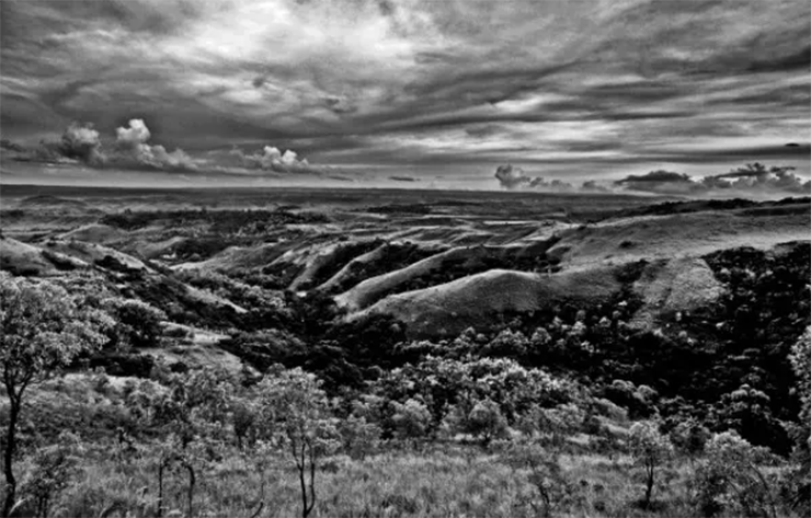 Cảnh thảo nguyên rộng lớn ở Sumba, Đông Indonesia. Chỉ 100 năm trước, cảnh quan là những khu rừng gỗ đàn hương rậm rạp. Do nhu cầu bùng nổ và thiếu kế hoạch bảo vệ môi trường, hòn đảo này đã bị tước sạch gỗ có giá trị, và kết quả là giờ đây có rất ít nguyên liệu xuất khẩu.