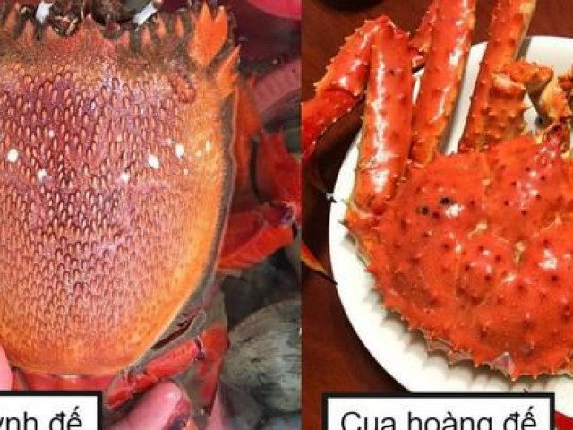 Thị trường - Tiêu dùng - Cua hoàng đế đắt đỏ: Chủ cửa hàng tiết lộ bí mật không ngờ người mua cần biết để không bị thiệt