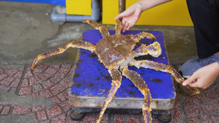 Cua hoàng đế đắt đỏ: Chủ cửa hàng tiết lộ bí mật không ngờ người mua cần biết để không bị thiệt - 1