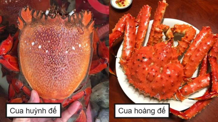 Cua hoàng đế đắt đỏ: Chủ cửa hàng tiết lộ bí mật không ngờ người mua cần biết để không bị thiệt - 2