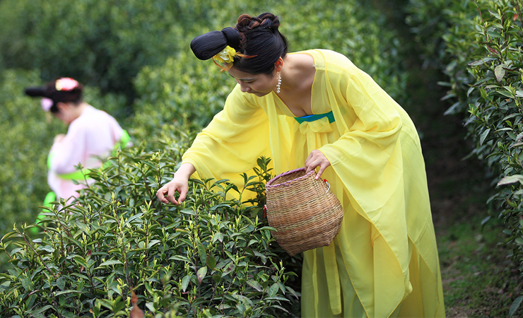 Hình ảnh này được chụp ở hồ&nbsp;Thiên Mục, Lật Dương, Thường Châu, Giang Tô, Trung Quốc.&nbsp;
