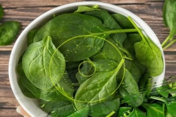 Media - 5 "siêu thực phẩm" cải thiện khả năng sinh sản cho cả nam và nữ