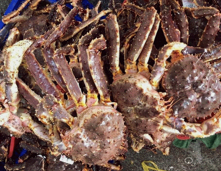 Cua hoàng đế là loại hải sản nhập khẩu được rao bán tràn ngập trên thị trường