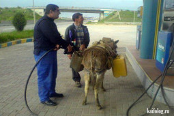 Tranh vui - Những hình ảnh hài hước khó đỡ khiến bao người cười "không ngậm được miệng"