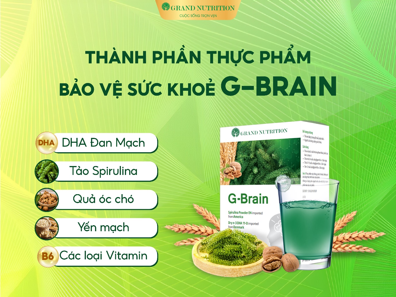 Thành phần của thực phẩm bảo vệ sức khỏe G-Brain