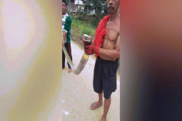 Phi thường - kỳ quặc - Video: Người đàn ông dùng tay không bắt sống rắn hổ mang chúa "khủng" dài hơn 5m