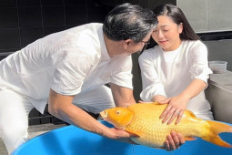 Đời sống Showbiz - "Vua cá Koi" và vợ kém 13 tuổi hủy kết bạn, xóa hết ảnh chung?