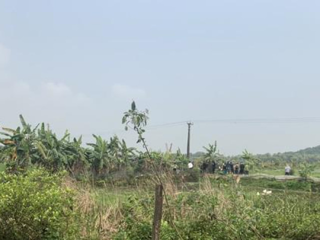 Phát hiện 2 nam thanh niên tử vong bên bờ ao ở Thanh Hóa