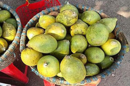 Loại quả lạ 90% người Việt không biết tên, giờ là đặc sản bày lên mâm ngũ quả ngày Tết