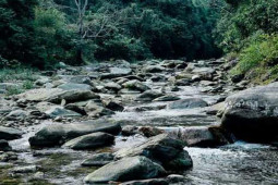 Thị trường - Tiêu dùng - Đặc sản "lạ đời" chưa từng thấy, xưa dành cho người nghèo, nay bán đắt khách ở thành phố