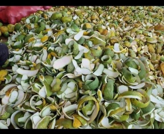 Vỏ bưởi đang được thu mua với giá dao động từ 3.500 - 4.000 đồng/kg.