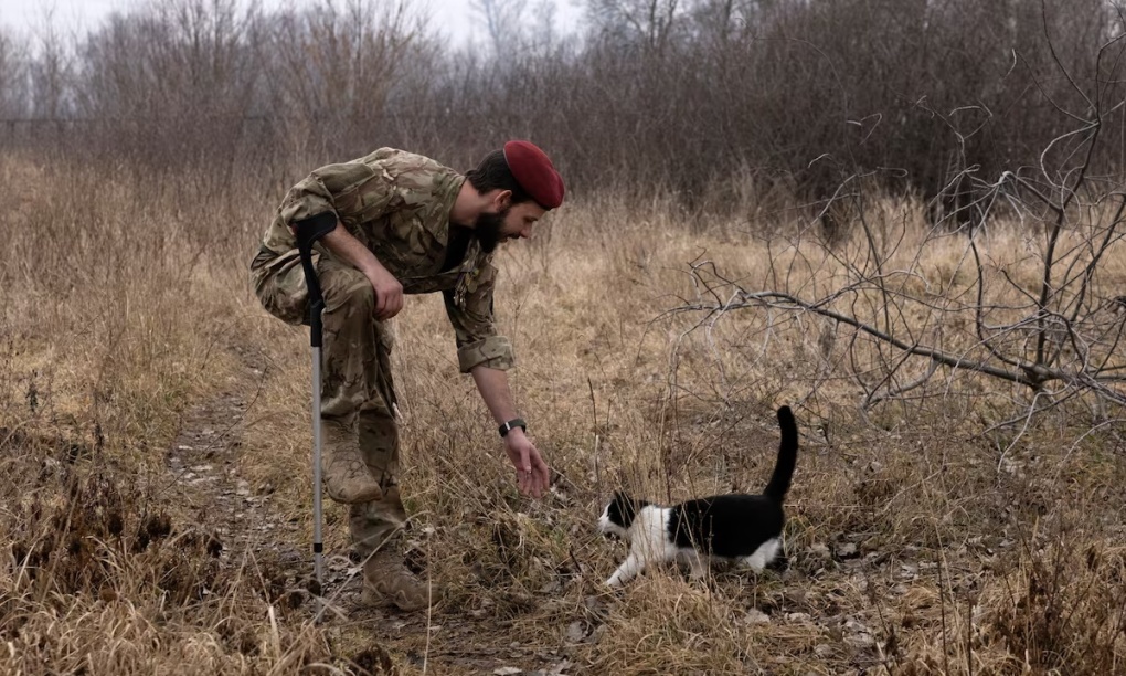 Một binh sĩ Ukraine chơi đùa cùng mèo hoang khi đang điều trị tâm lý (ảnh: Washington Post)