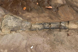 Quốc gia giáp Việt Nam lần đầu tiên phát hiện hóa thạch khủng long