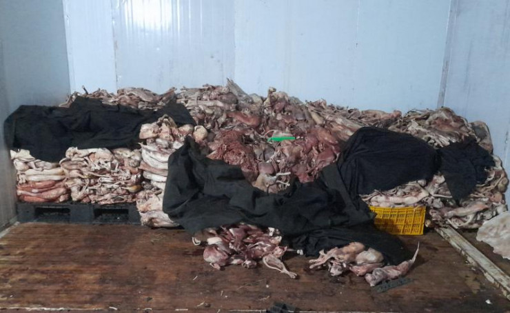 Hơn 1 tấn 'tiểu hổ'  không rõ nguồn gốc. 