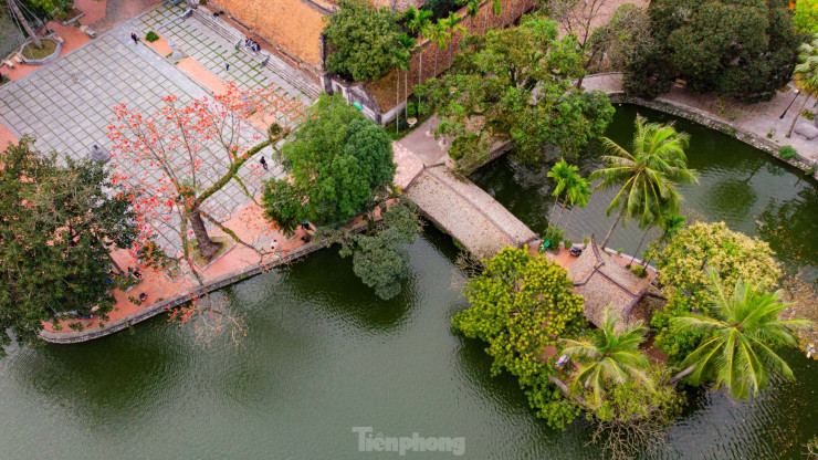 Mỗi độ tháng 3 về, cây gạo cổ thụ ở Chùa Thầy (huyện Quốc Oai, TP Hà Nội) lại bắt đầu nở hoa, nhuộm lên những sắc đỏ rực rỡ trong không gian ngôi chùa cổ kính nghìn năm tuổi.