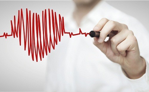 Người có nhịp tim nhanh hay chậm, ai sống lâu hơn? - 4