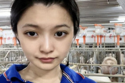 Cô gái nuôi lợn nhận lương 30 triệu/tháng, dân mạng nói ”làm màu”, sự thật thế nào?