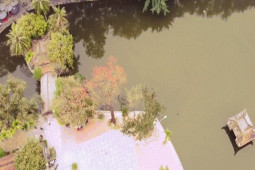 Tin tức trong ngày - Mê mẩn ngắm hoa gạo nở đỏ rực bên ngôi chùa nghìn năm tuổi tại Hà Nội