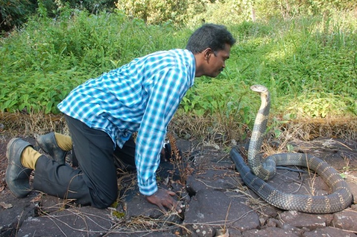 Nhiều người ở Ấn Độ bị rắn cắn không chỉ một lần. Ảnh minh họa: India Times