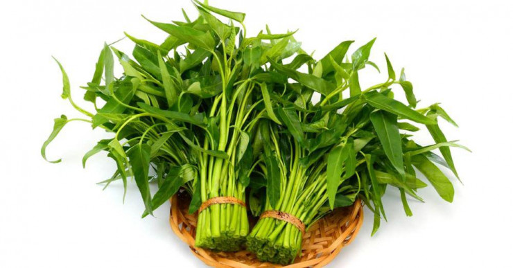 Những điều cấm kỵ khi ăn rau muống, cần tránh xa - 2