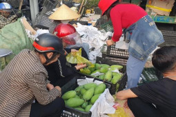 Tin tức trong ngày - Người dân "giải cứu" hàng chục tấn xoài giúp tài xế sau tai nạn