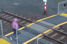 Tranh vui - Thót tim với những pha thoát hiểm thần kỳ chỉ trong gang tấc