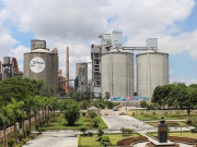 Tin tức trong ngày - Thêm 6 người bị bắt vì ‘dính dáng’ vụ vi phạm đấu thầu tại Cty Xi măng Vicem Hoàng Thạch