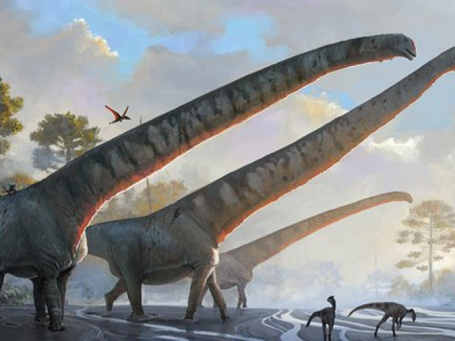Siêu quái vật Trung Quốc 162 triệu tuổi: Chỉ phần cổ đã dài 15m