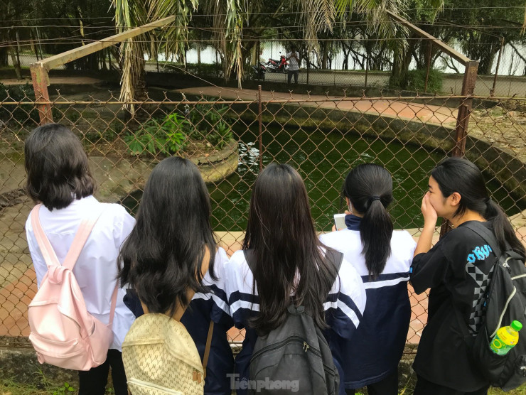 Nỗi lo cá sấu sổng chuồng ở công viên lớn nhất Nghệ An - 10