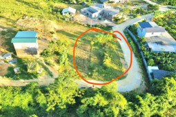 Đất trang trại, nhà vườn giảm giá gần 50%, chỉ hơn 1 triệu đồng/m2 vẫn không bán nổi