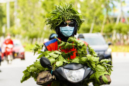 Tin tức trong ngày - Miền Bắc sắp hứng đợt nắng nóng đầu tiên, miền Nam xâm nhập mặn tăng cao