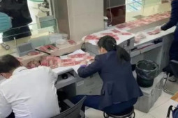 Kinh doanh - Chôn hơn nửa tỷ dưới mộ vì sợ mất cắp, cụ ông hốt hoảng khi đào lên sau 1 năm