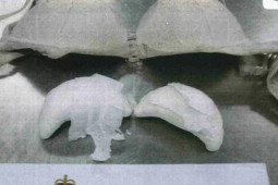 Thế giới - Chiêu trò vận chuyển ma túy của tiếp viên hàng không các nước