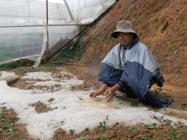 Đà Lạt xuất hiện mưa đá lớn chưa từng có