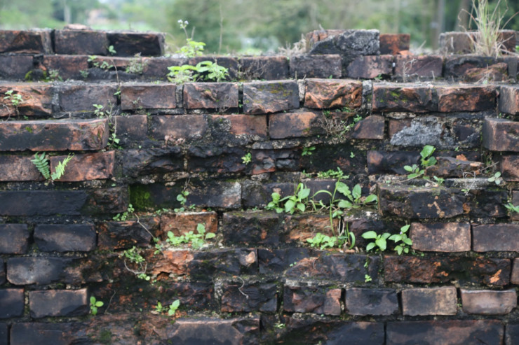 Vết thời gian...