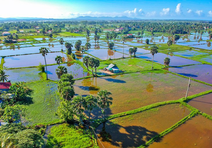 Hành lang bảo tồn Koh Kong: Nằm&nbsp;trải dài trên một khu vực trong dãy núi Cardamom của Campuchia, phía nam thị trấn biên giới Koh Kong ở phía tây nam của đất nước,&nbsp;cao nguyên này&nbsp;có mưa dày đặc, những dòng sông uốn lượn và thác nước, mang đến nhiều chuyến tham quan bằng thuyền và đi bộ đường dài.
