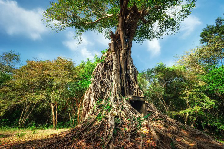 Mundulkiri: Những du khách ưa mạo hiểm nhất định sẽ thẳng tiến đến vùng đồi núi của tỉnh Mundulkiri ở vùng viễn đông của Campuchia để khám phá động vật hoang dã, cuộc sống làng quê, các chuyến tham quan bằng xe đạp đường mòn và Dự án Thung lũng Voi.
