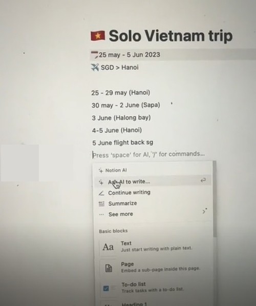 Cô gái nhờ phần mềm AI lập kế hoạch du lịch đến Việt Nam, kết quả thế nào? - 2