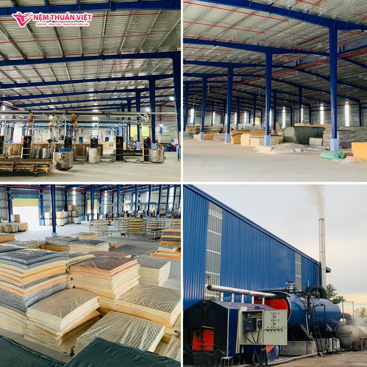 Nhà máy sản xuất Nệm Thuần Việt