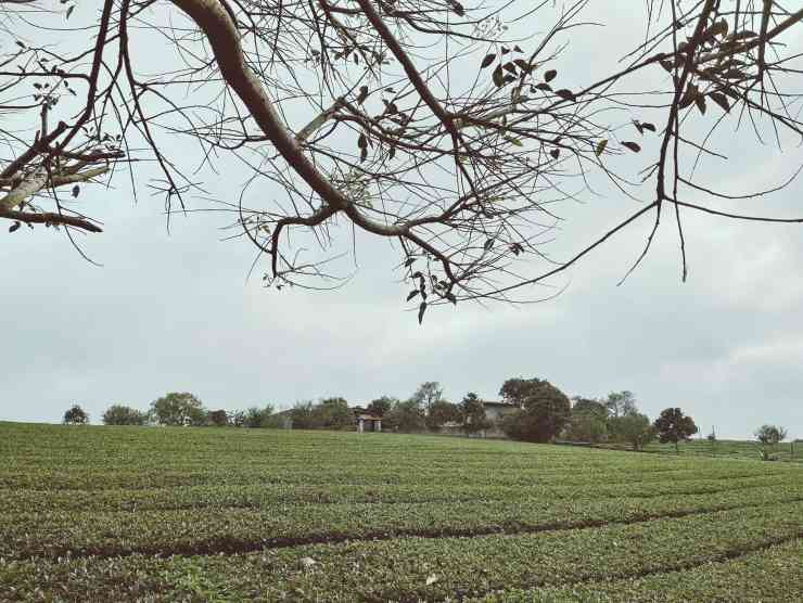 Tìm điểm du lịch trong tháng 3 và quyết định bất ngờ của cô gái Sài Gòn - 13