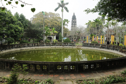 Tin tức trong ngày - Khung cảnh thanh tịnh ở ngôi chùa tháp 800 tuổi lưu giữ bảo vật, "báu vật xanh"