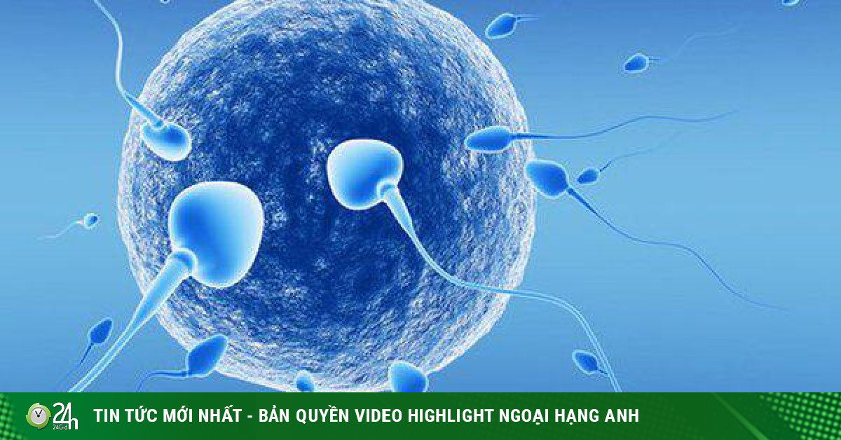 Tinh dịch loãng có ảnh hưởng đến khả năng sinh sản của nam giới?