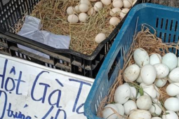 Thị trường - Tiêu dùng - Chuyện lạ: Trứng gà ta rẻ hơn trứng gà công nghiệp