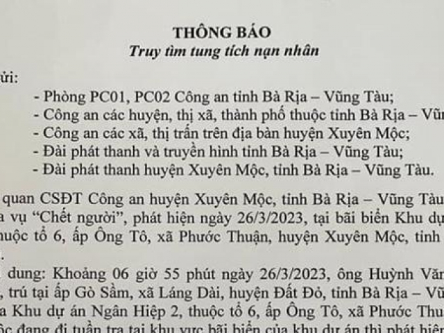 Pháp luật - Tìm tung tích nạn nhân tại bãi biển Khu dự án Ngân Hiệp 2
