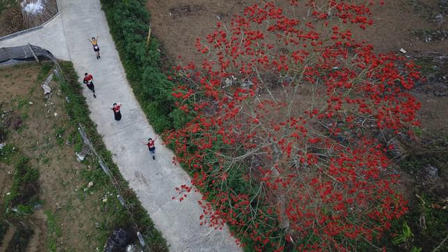 Cung đường chạy đẹp như mơ của Tiền Phong Marathon 2023.